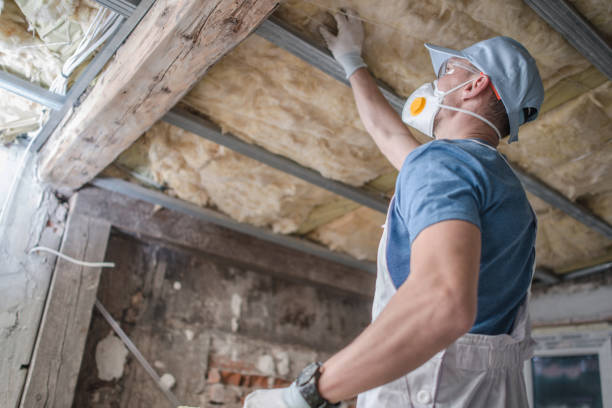 Best Blown-in Insulation in Whitehouse, TX