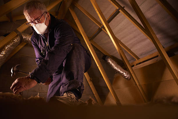 Best Insulation Maintenance and Repair in Whitehouse, TX